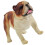 Cane In Cartoon Eretta Decorazione 8