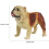 Cane In Cartoon Eretta Decorazione 2