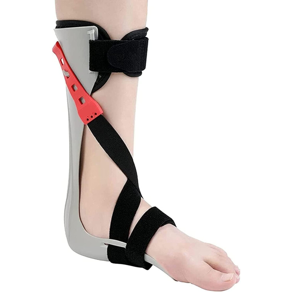 Foot Drop Orthosis Adjustable Foot Support Foot Stabilizer Posture Orthosis Sleep Ankle Foot Orthosis Right Foot Size L