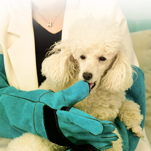 Scratchresistant protective gloves, thick and durable pet training antibite gloves. 1