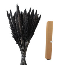 Arranjos de flores secas naturais, capim-dos-pampas rosa e fofo para decoração de casamento, festa boho, casa, estilo fazenda, buquê com atmosfera