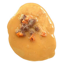 Vomit Toy Vomit Prank Toy, Funny Tricky Toys, Fake Vomit for Film Props Prank Parties, Educational Demonstrations, Halloween Makeup Events