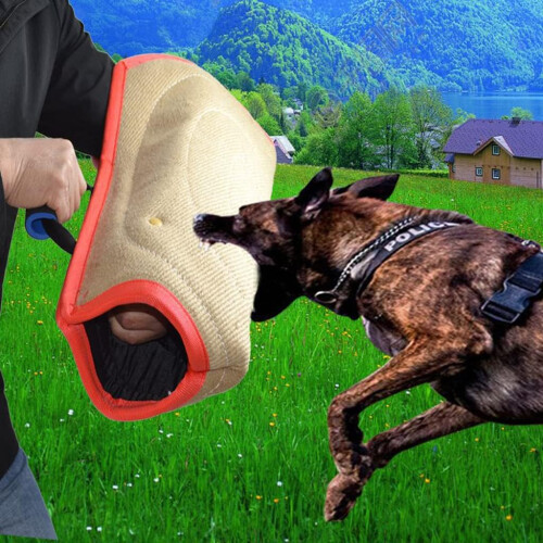 Dog Bite Cover Ref: 7643 1