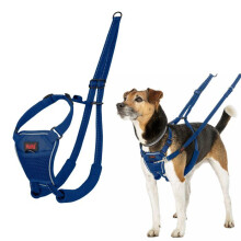 Anti-pull harness for dogs - Halti - Reflective - Padded strap - Size S - Cobalt Blue - Polyester