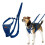 Halti Anti-pull harness for dogs - Halti - Reflective - Padded strap - Size S - Cobalt Blue - Polyester 1