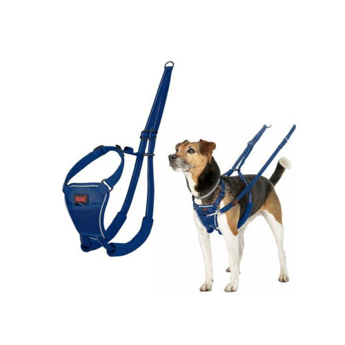 Halti Anti-pull harness for dogs - Halti - Reflective - Padded strap - Size S - Cobalt Blue - Polyester 1