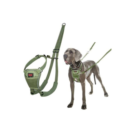 Halti Anti-pull harness for dog - Halti - Size L - Forest Green - Reflective - Padded straps - Polyester 1