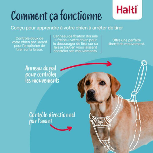 Halti Anti-pull harness for dog - Halti - Size M - Cobalt Blue - Padded straps - Reflective - Polyester 2