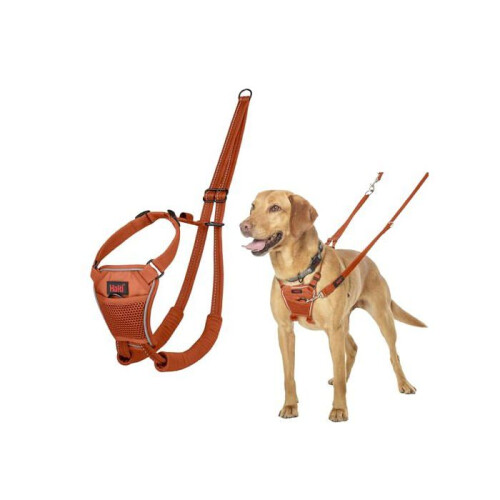 Halti Anti-pull harness for dog - Halti - Size M - Burnt Orange - Padded straps - Adjustable 1