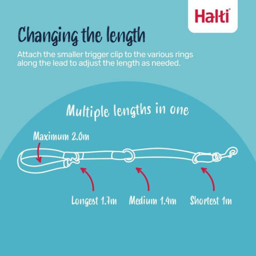 Halti Educational leash for dogs - Halti - 7 functions - Double-ended - 2m - Burnt Orange - Anti-pull - Polyester 2