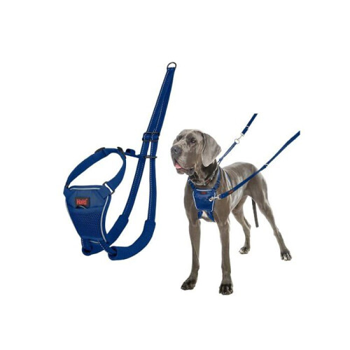 Halti Anti-pull harness for dog - Halti - Size L - Cobalt Blue - Reflective - Padded straps - Polyester 1