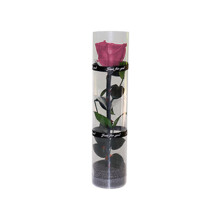 Rosa negra preservada, expresión ideal de sentimientos con flores preservadas hechas a mano, rosa natural romántica en una exquisita caja de regalo