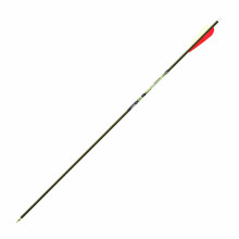 EXP Hunter 7595 2' Wing Arrow (Black Dozen, 34)