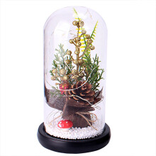 Weihnachtliche DIY-Glasglocke, elegantes Deko-Set mit hellem Holzsockel für Schlaf- und Wohnzimmer, Pflanzen-Terrarium-Dekor mit warmer Atmosphäre,