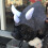Χαριτωμένο καπέλο Triceratops με ρυθμιζόμενο καπέλο για κατοικίδια με ελαστικό πάτο, 2