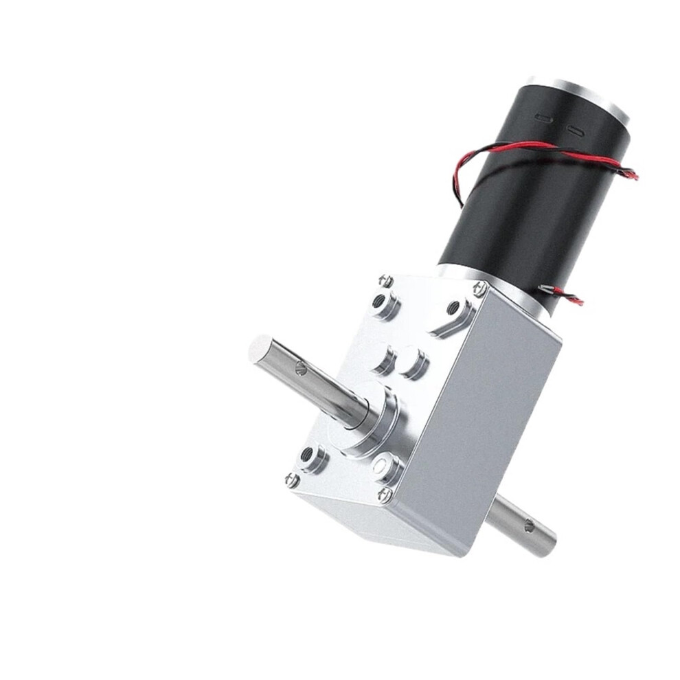 12V Double Shaft Dc Motor Worm Gear Torque 70Kg Cm 24V Motor Dshaft Worm Reducer Reversible (12V 80Rpm) 9119770343970