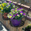 Spacesaving hanging balcony shelf, sturdy construction for multiple planters (copper) 4