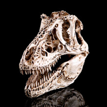 Decorazione per rettili, artigianato in resina leggera ed ecologica, replica realistica del teschio di T-Rex per la decorazione dell'acquario,