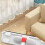 Spray Mop Cleaner, Multifunctional Floor Tool, Lightweight Ergonomic Handle, Refillable Tank 2