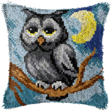 Latch Cushion for DIY Knotting Camel and Owl Latch Set Latch Hook Rug for Children and Adults Sofa Cushion Craft Set Latch Hook Kit 43 cm x 43 cm, B