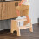 2 Step Stool Potty Training Stool, TwoStep Foot Stool For Bedroom Bedside Entrance, Compact 5