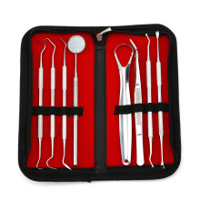 Dental care tools 8 parts with case Silver Silver