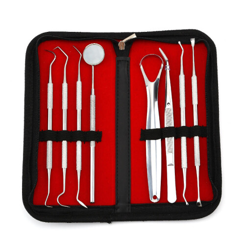 Dental care tools 8 parts with case Silver Silver