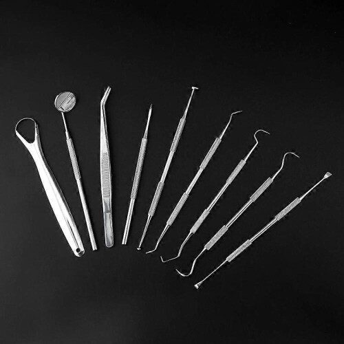 Dental care tools 8 parts with case Silver Silver 2