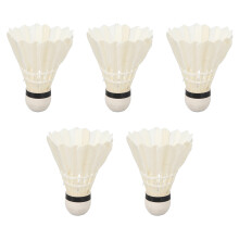 5 stücke LED Badminton Federbälle Dark Night Glow