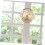 Dial Barometer, Barometer, Thermometer, Hygrometer, Wall Mounted Barometer, Weather Forecast 5