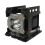 Lamp Replaces BLFP330B Replacement Projector Lamp Module for DLP 1
