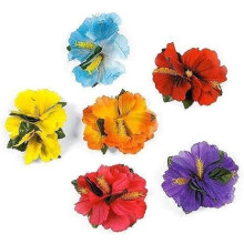 Pinces à cheveux Lei pour un style tropical, six couleurs de fleurs différentes, accessoires pour cheveux Hula Girl Hibiscus