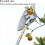Fruit Picker Telescopic,Fruit Picking Equipment Fruit Catcher with 5M/16Ft Length Adjustable Pole, Lemon Pear Picker 5