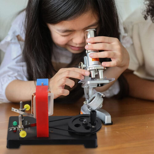 Hand Cranked Electricity DC Electric Generator Educational Model For Classroom Physics Experiment Portable 1