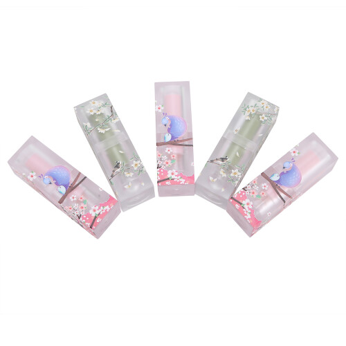 5 stücke DIY Lip Balm Container Rohre mit Kappe 1
