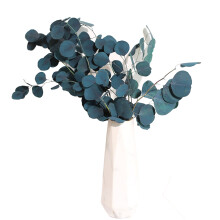 Decoración para el hogar con plantas naturales, aspecto llamativo, perfectas para bodas y eventos. Eucalipto, ideal para sala de estar, dormitorio,