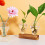 Διακοσμητικά Μαξιλαροθήκες Boho, σετ 2 από 2, σκούρο πράσινο, 18x18 ίντσες για σαλόνι, 8