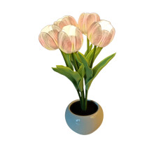 Gouden Craspedia-bloemen, natuurlijke gedroogde bloemen voor huisdecoratie en bruiloftsdecoratie, veelzijdige Billy Balls voor doe-het-zelf