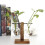 Βασική διακόσμηση σπιτιού DIY: Αυτοκόλλητα καθρέφτη χωρίς γυαλί για απελευθέρωση 2