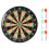 17 Zoll Dart Board Spielset Doppelseitiges 1