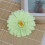 Διακόσμηση χειροτεχνίας DIY: Αναβαθμίστε τα έργα σας με μωσαϊκά πλακάκια, φύλλα 4