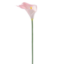 Adesivi murali a forma di cuore con albero di ciliegio in fiore, decorazioni per San Valentino, applicabili su superfici lisce, in PVC atossico,