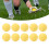 Lacrosse-Ball-Set, PVC, elastisch, ausgezeichneter 12