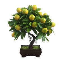 Autocolante de perete 3D DIY Decoration, decorațiune de perete frumoasă pentru camera copiilor, aplicare pe suprafață netedă, picturi murale