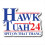 Hawk Tuah Spit on That Thang, Funny Bumper Sticker, Hilarious Meme Dec 2