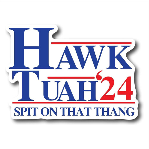 Hawk Tuah Spit on That Thang, Funny Bumper Sticker, Hilarious Meme Dec 1