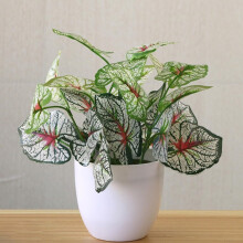 Artificial Bonsai Tree with Faux Succulent in Retro Plastic Pot for Office Desk and Indoor Decor