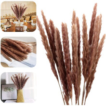 Natuurlijke gedroogde pampasbloemen: praktische gedroogde bloemen, boho-decoratie voor diverse gelegenheden met elegante en rustieke charme (30 stuks)