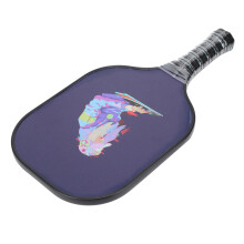Pickleball rackets voor beginners tot gevorderden, USAPA-goedgekeurd, met ergonomische antislipgrip, grafiet- en glasvezeloppervlak voor consistente