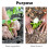 Efficiency Planting, Solid Shaft Auger Drill Bit - Multi-Purpose Garden Auger for Quick and Easy Hole Digging 5